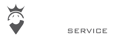 Go Transfer Logo
